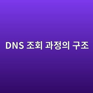 DNS 조회 과정의 구조: 도메인 입력부터 IP 주소 응답까지 4 dns eca1b0ed9a8c eab3bceca095ec9d98 eab5aceca1b0 1792303853